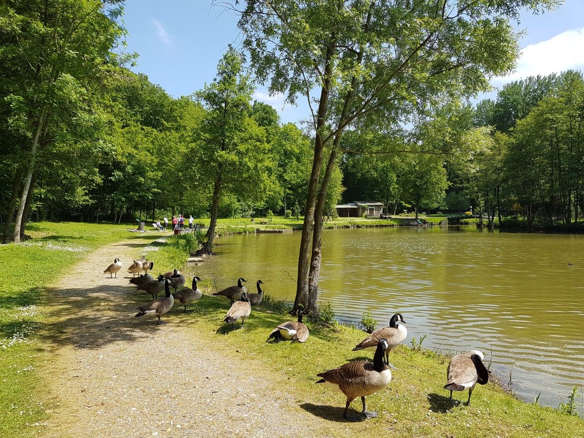 Balade 6 km à Baillet en France