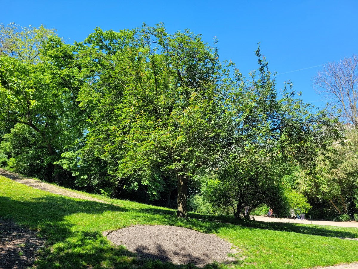 Promenade au parc des buttes-chaumont