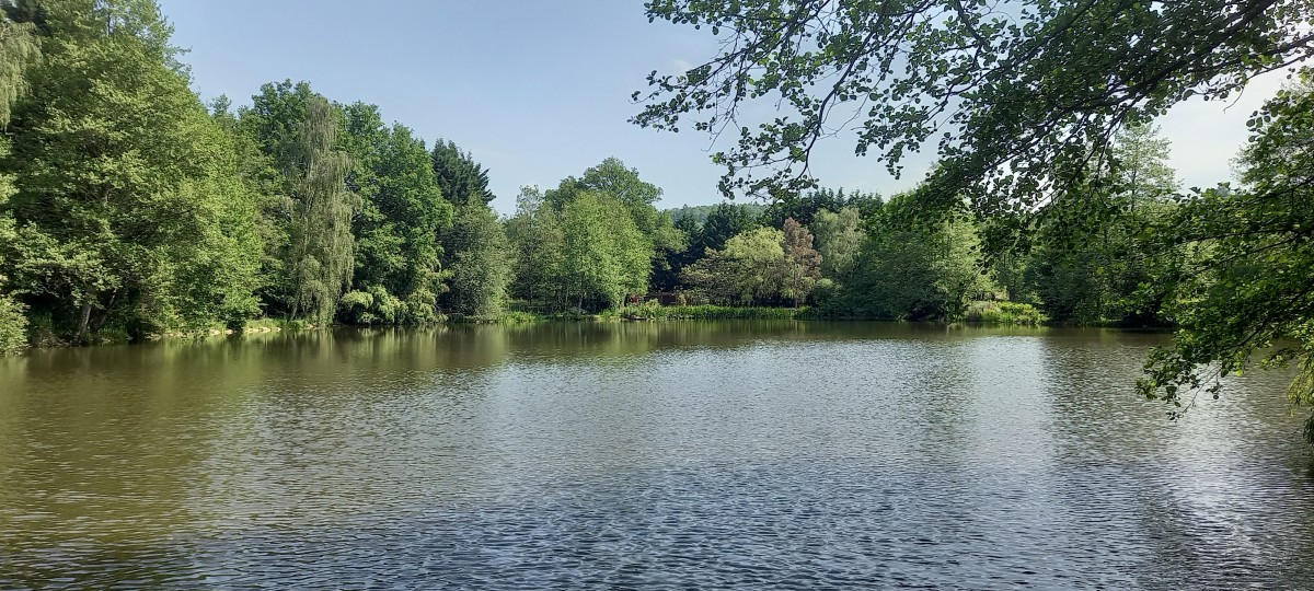 Journée à la campagne - Ste Gemmes le R.