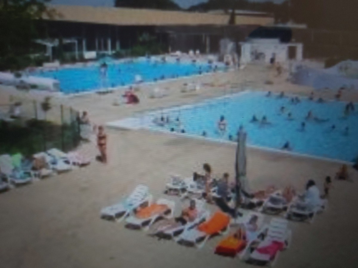 Piscine La Baleine bleue st barthelemy d'anjou