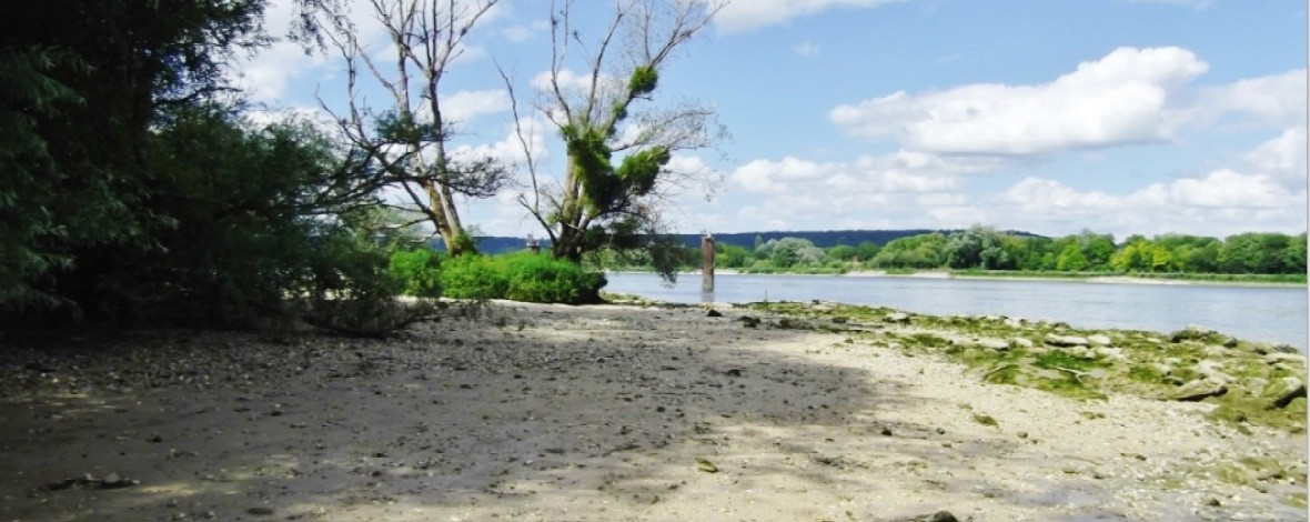 Marche BARDOUVILLE