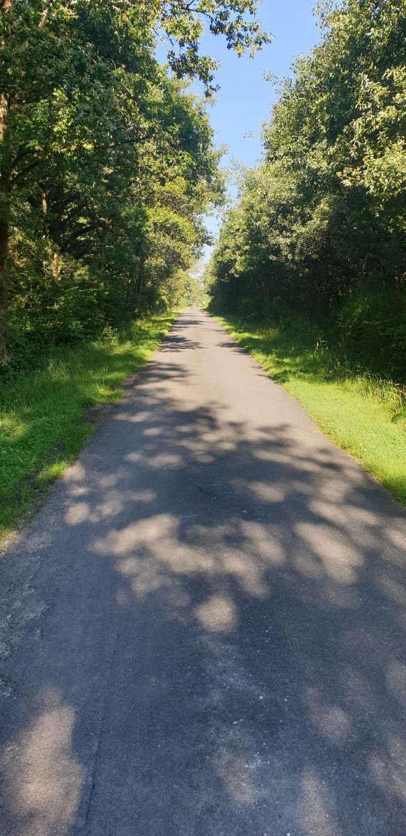 Marche avant fête champêtre