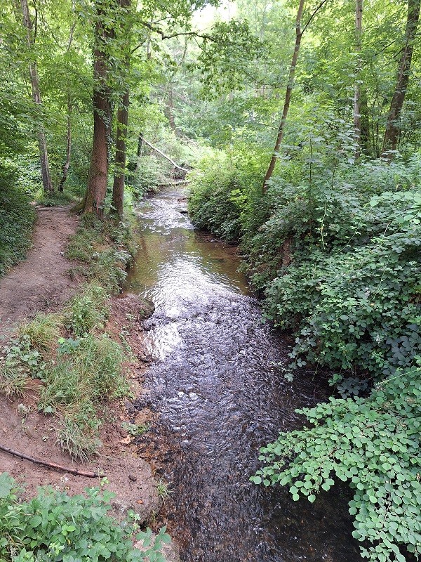 Rando de la Bièvre et de ses étangs - pique nique / 10 km