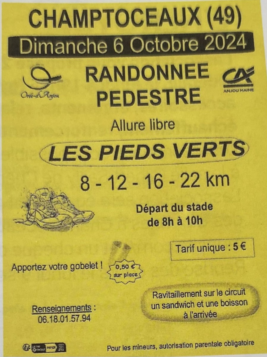 Randonnée pédestre