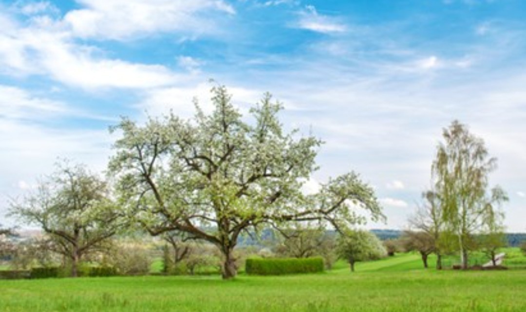 Récré nature à la Sablière