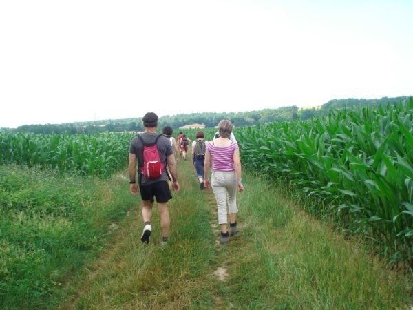 Balade autour de l'etang