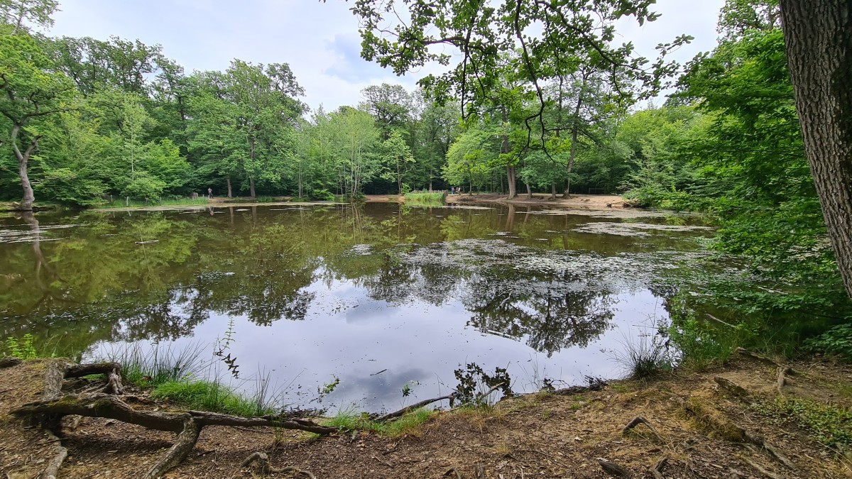 Les Terrasses de St Germain en Laye