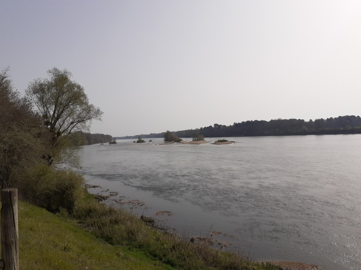 Marche tranquille sur les bords de Loire