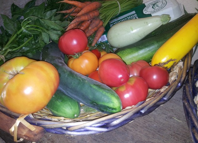 FERME DE LA PLAINE VOYAGE AU COEUR DES FRUITS