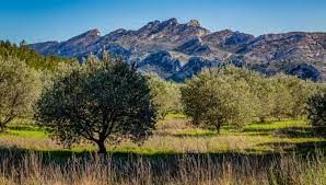 Ballade et pic nique dans les Alpilles