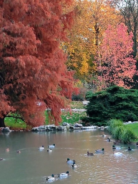 Photos au Parc Barbieux