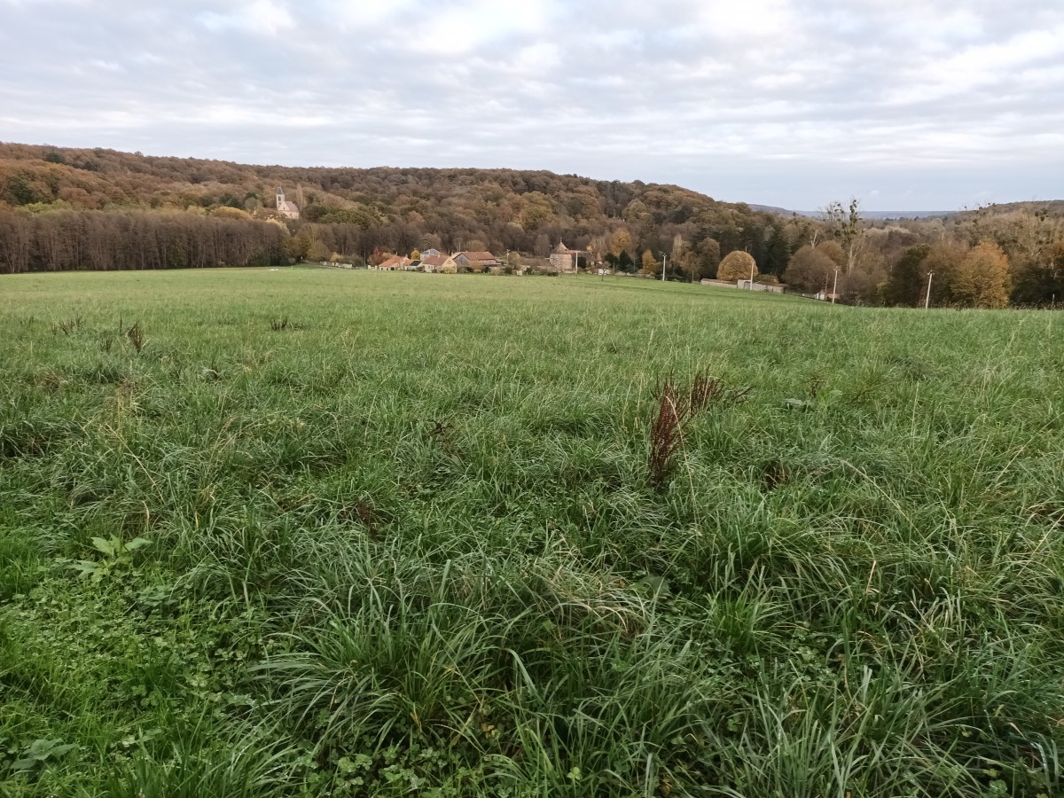 Rando 15km Maincourt-sur-Yvette (78)