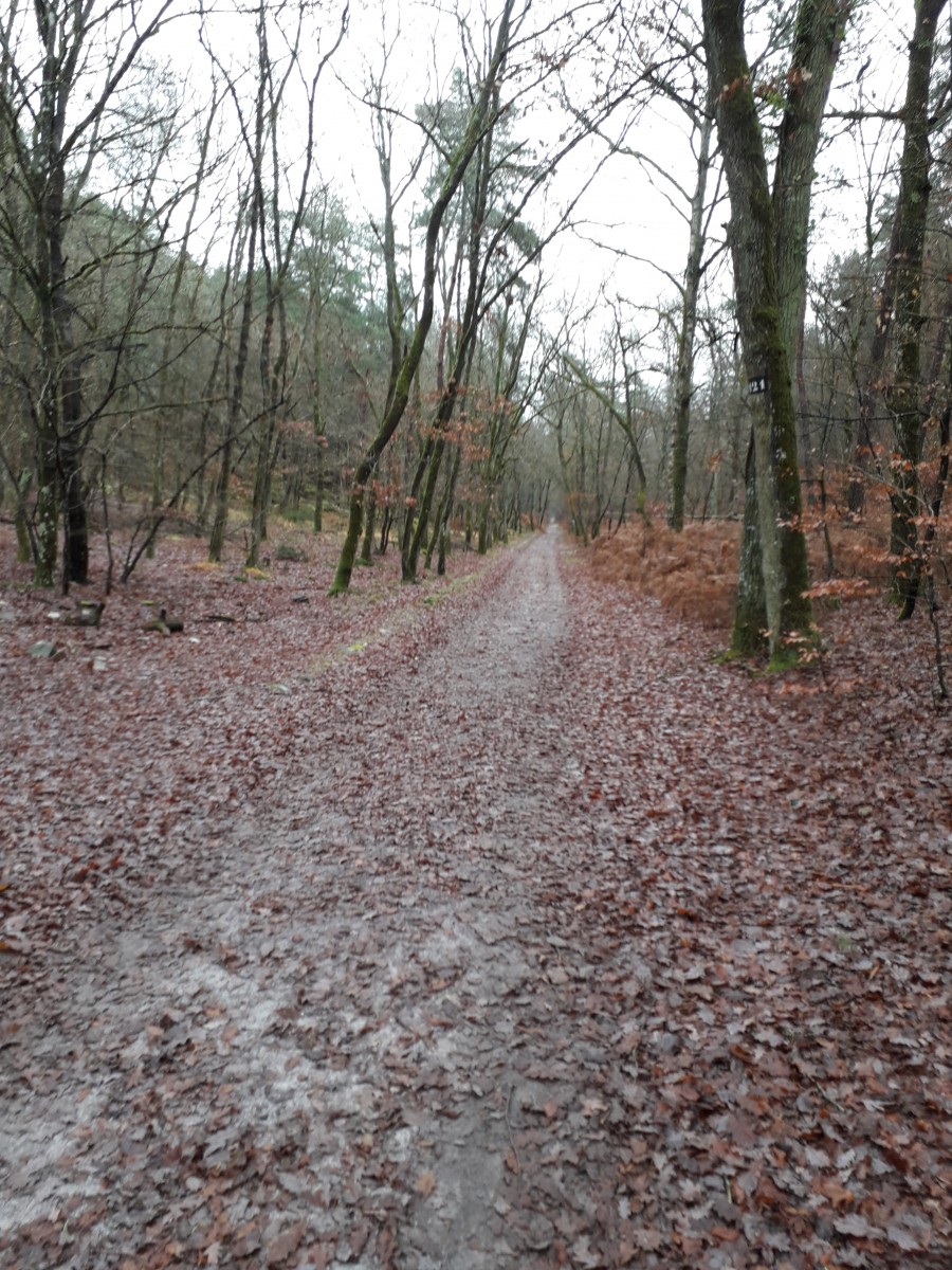 Du Long Boyeau au mont Fessas