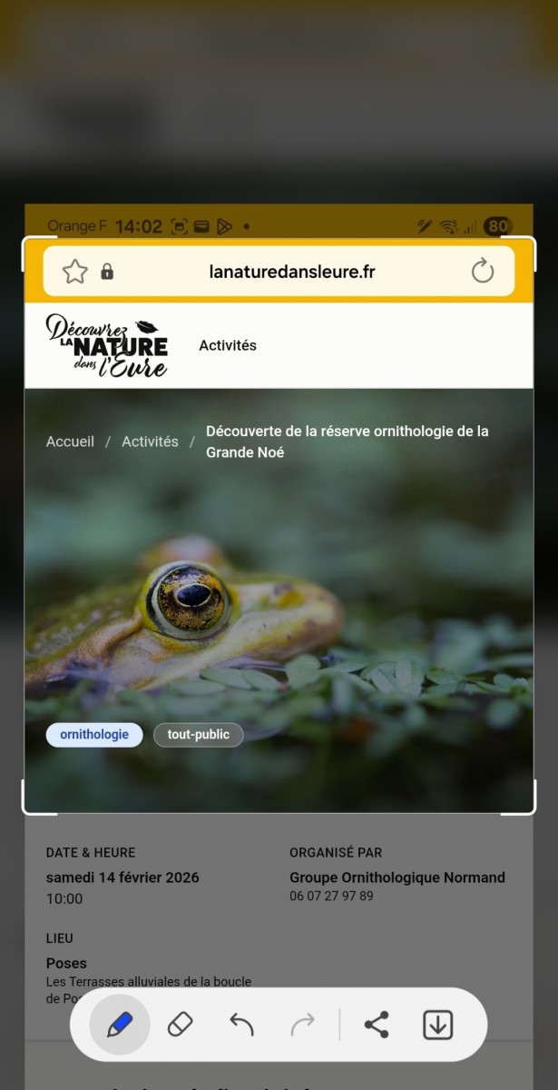 Découverte réserve ornithologique de la grande Noé