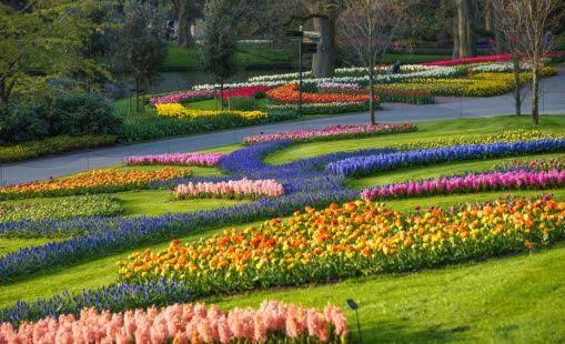 Une journée au Parc Floral de Keukenhof au Pays Bas