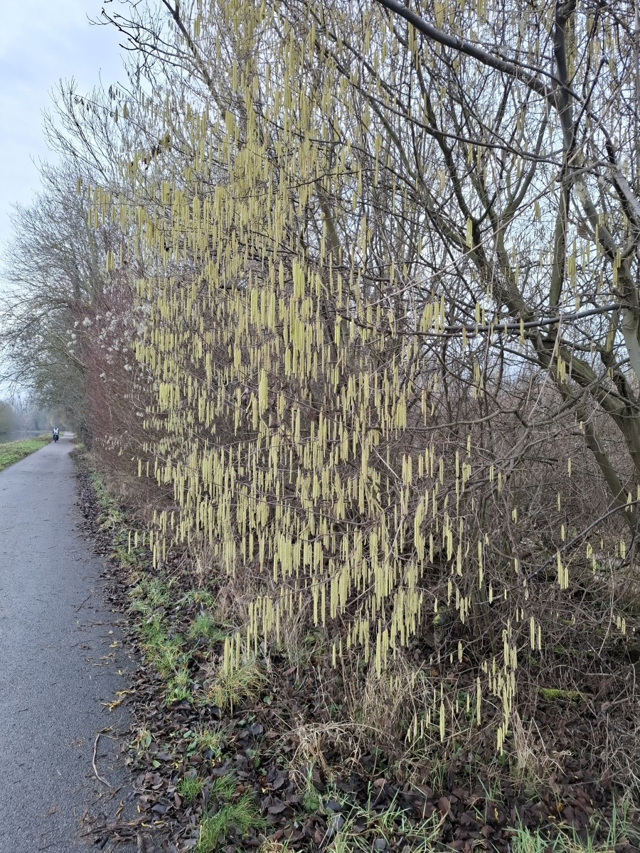 La balade des gens heureux.