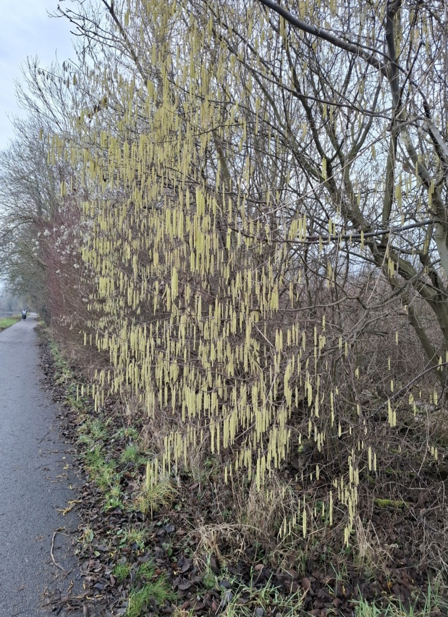 La balade des gens heureux.