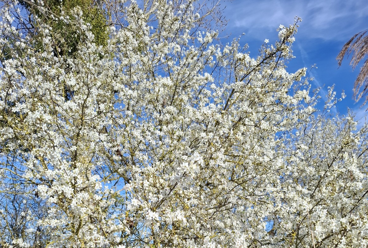 La balade des gens heureux.