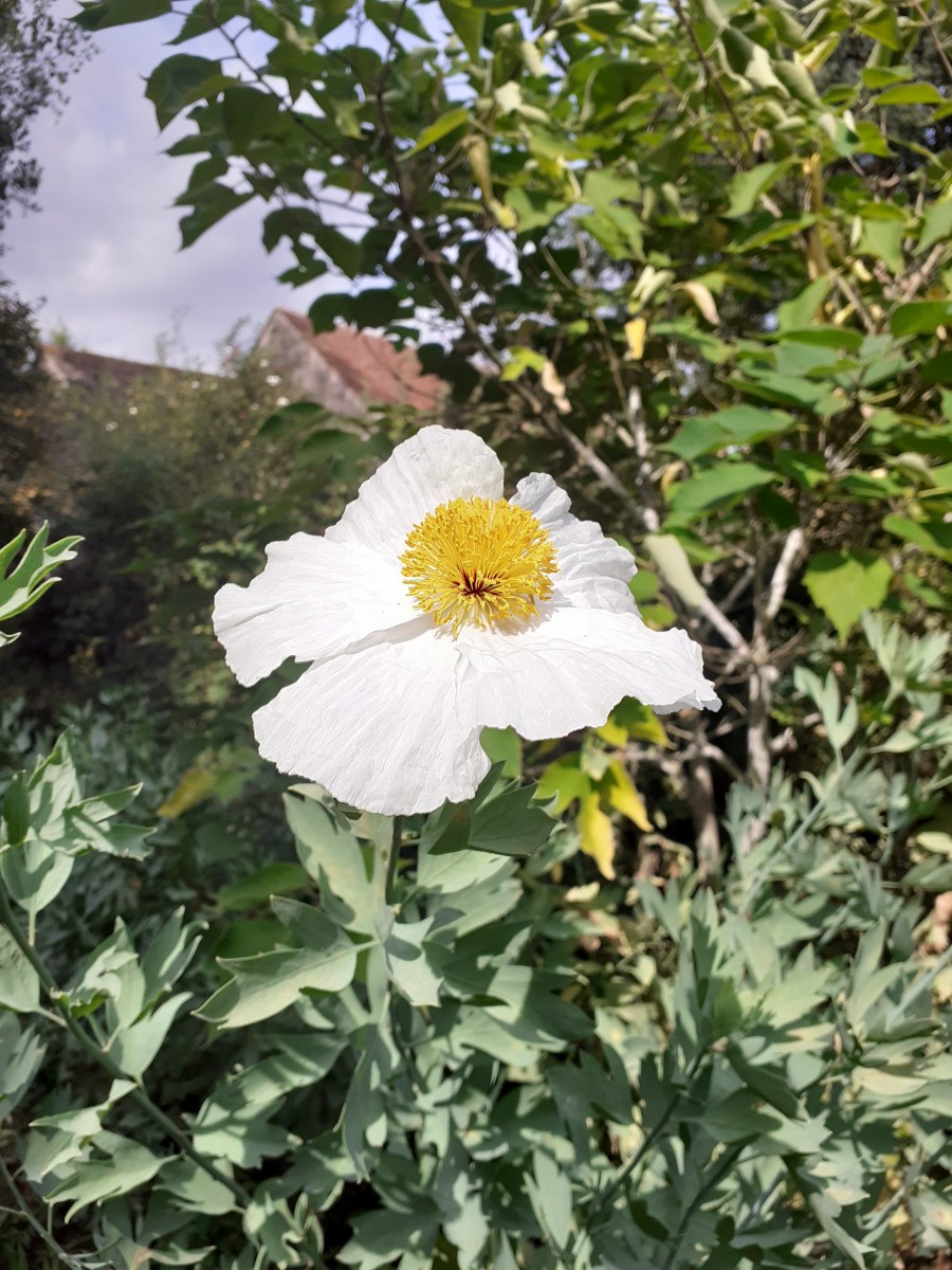 Randonnée de printemps de 12 kms à Ingré le 19 avril