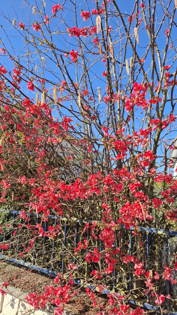 La balade des gens heureux.