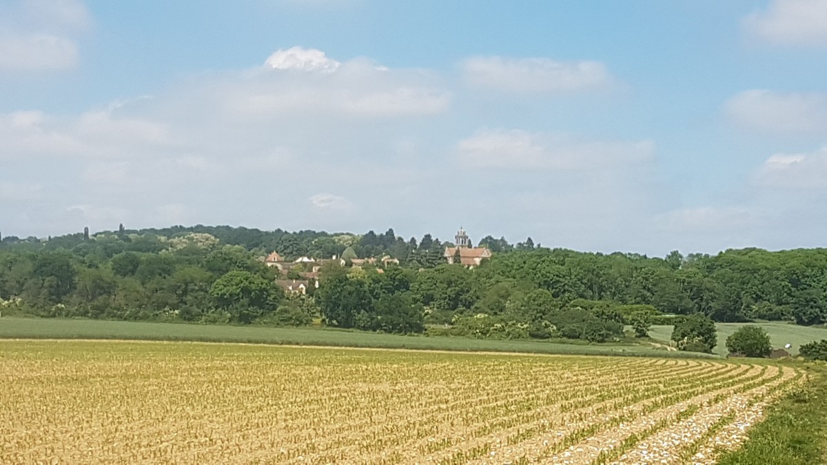 Marche 8 km ou 15 km autour de Génicourt