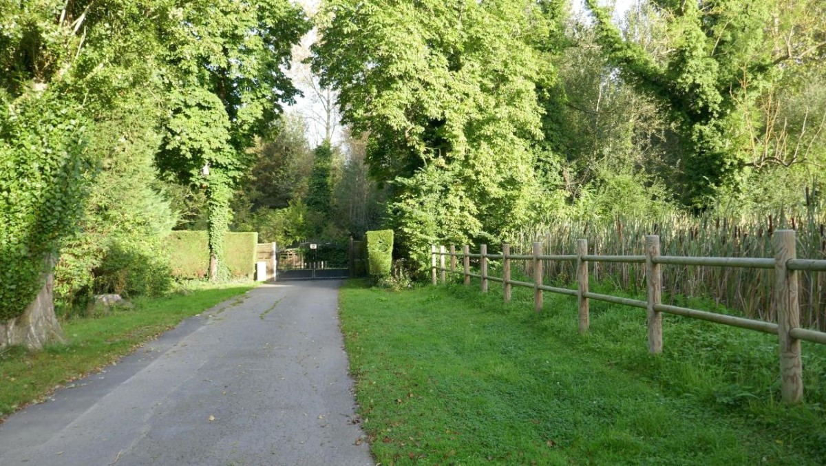 Balade découverte du bois de Verlinghem