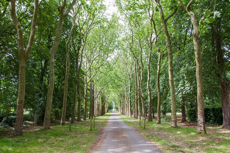 Marche Argentré