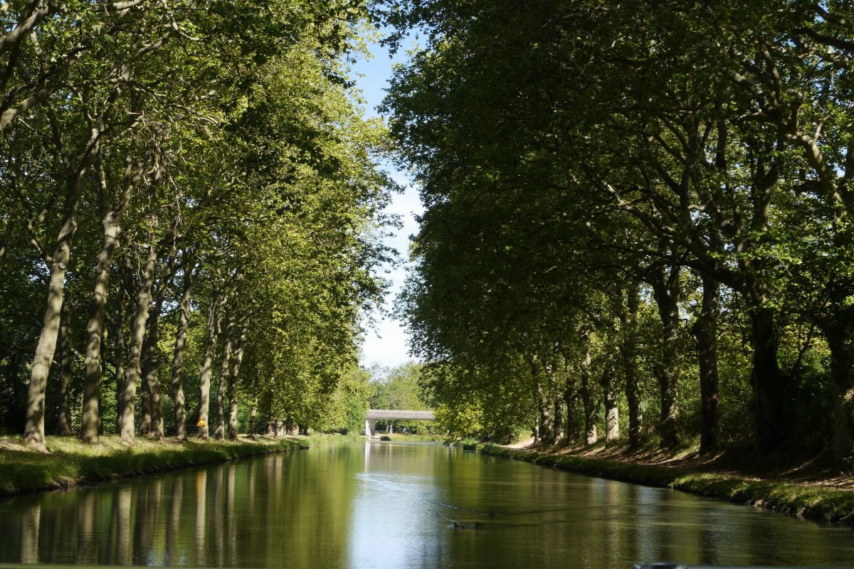 marche au vignoble